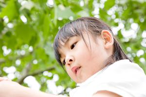 東京の夜景を満喫！屋形船で贅沢な時間を過ごす方法を徹底解説