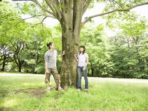 鹿児島県薩摩川内市に位置する東横INN薩摩川内駅東口の魅力と詳細ガイド