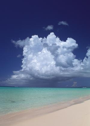 名古屋駅徒歩5分の快適なビジネスホテル｜東横INN名古屋駅桜通口新館の詳細と魅力
