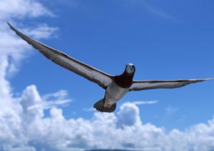 韓国・昌原市にある東横INN昌原：ビジネス・観光に便利な格安ホテルの魅力と詳細情報