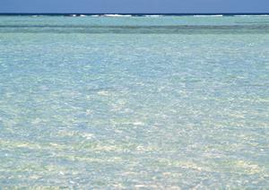 東横INN埼玉戸田公園駅西口｜快適なビジネス・観光利用に最適な宿泊施設の詳細ガイド