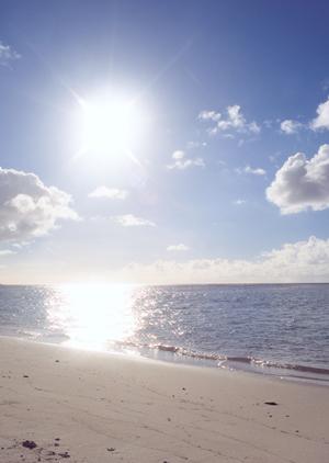 横浜市・新横浜駅から徒歩4分の快適ステイ！東横INN新横浜駅前新館の全魅力を徹底解説