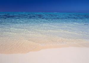 東横INN調布京王線布田駅｜東京都調布市の快適なビジネスホテルと宿泊情報