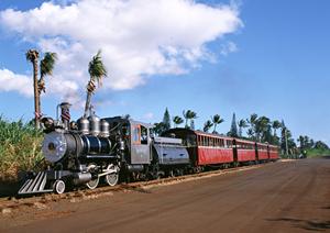 鹿児島中心地に位置する快適なビジネスホテル：東横INN鹿児島中央駅東口の魅力と詳細情報