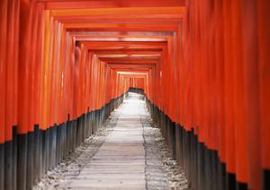 株主優待を賢く活用！JR旅行をお得に楽しむための完全ガイド