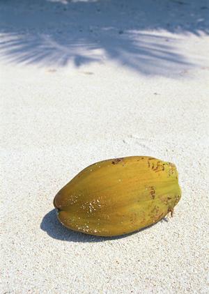 広島駅近くの快適なビジネス利用に最適！東横INN広島駅スタジアム前の魅力と詳細情報