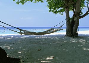 茨城県守谷市のビジネスホテル【東横INN守谷駅前】の魅力とポイントを徹底解説