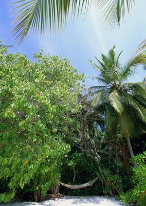 沖縄・那覇市のビジネスホテルなら東横INN那覇旭橋駅前｜快適な滞在とお得なサービスを提供