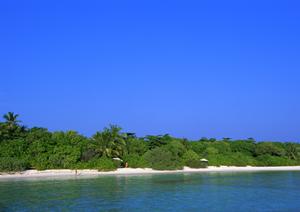 静岡県浜松市のビジネスホテル｜東横INN浜松駅北口の魅力と詳細情報