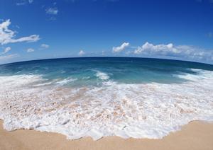 【公式】東横INN日本橋三越前A4｜ビジネス・観光に最適なリーズナブルなホテル詳細案内