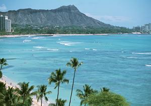 高品質な食用金箔を扱う通販サイト